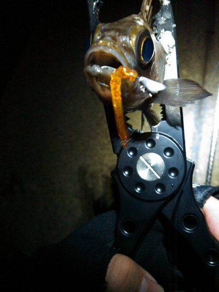 潮のタイミング